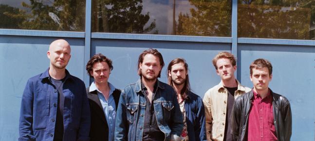 The Calicos