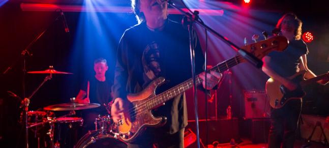 Chameleons Vox